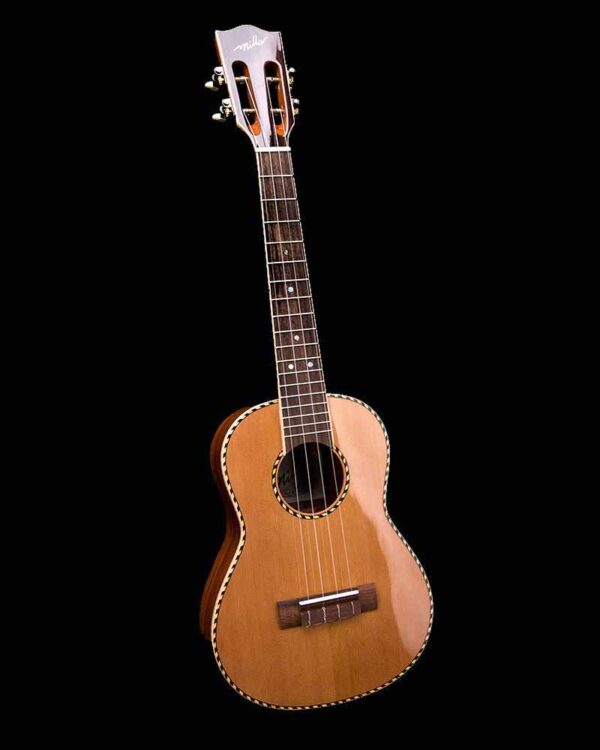 millar CD 260W ukulele 0