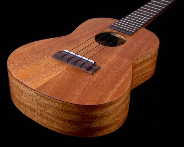 millar TM 240 ukulele 2