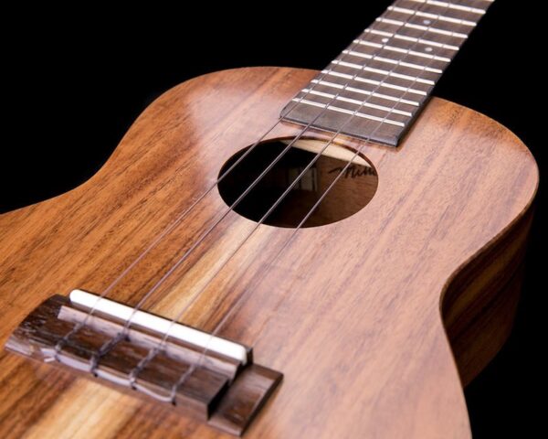 millar ta 240 ukulele 4