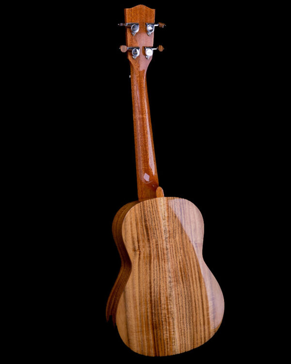 millar ta 240g ukulele 1